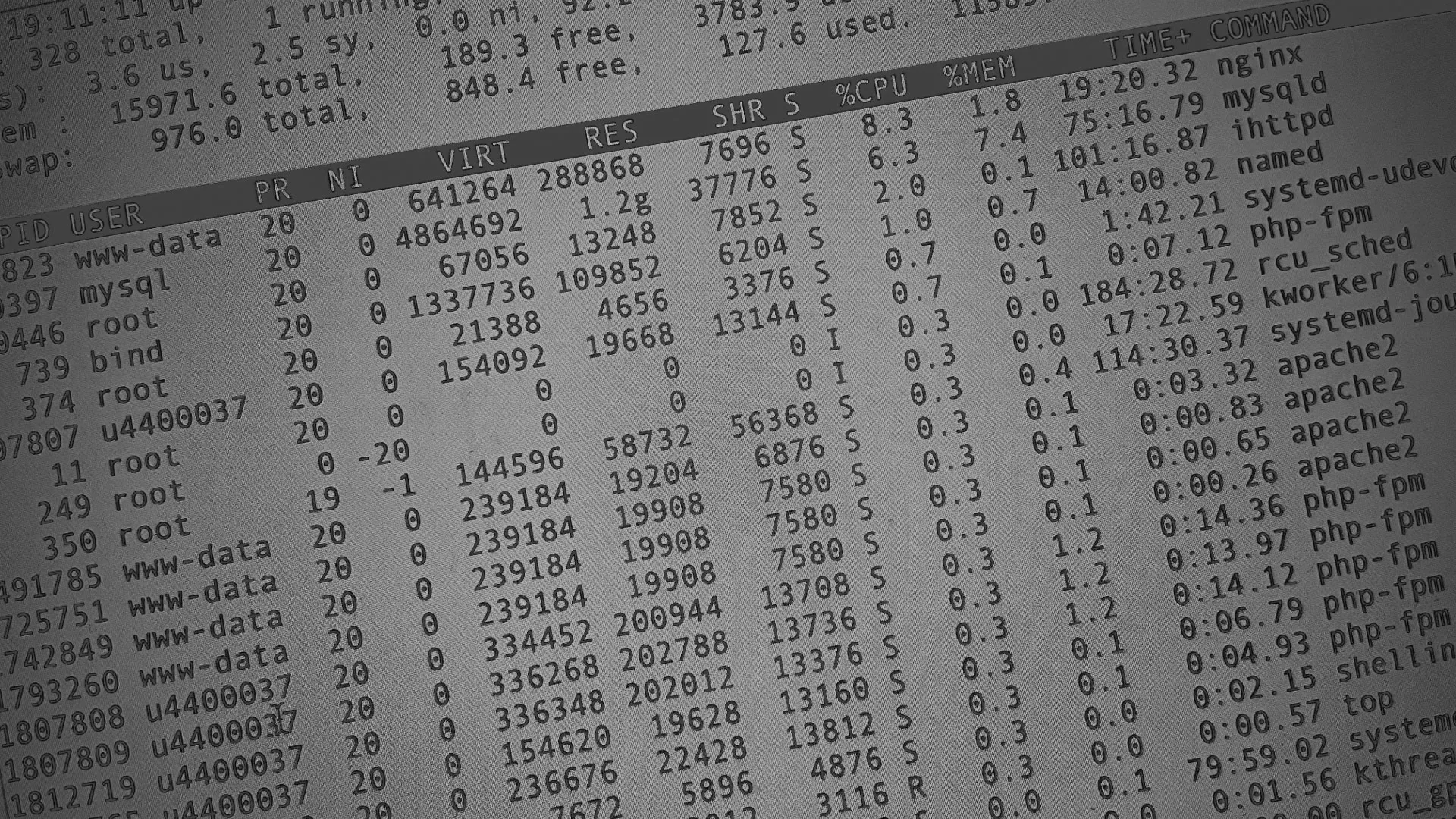 Настройка сервера в Можге