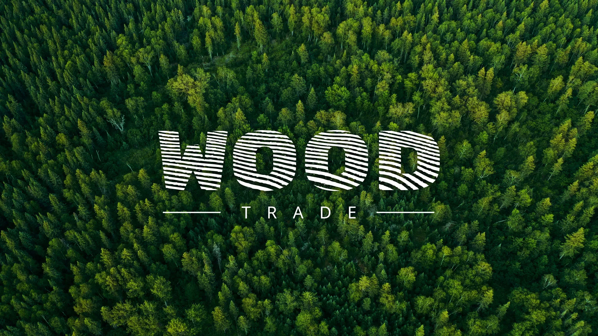 Разработка интернет-магазина компании «Wood Trade» в Можге