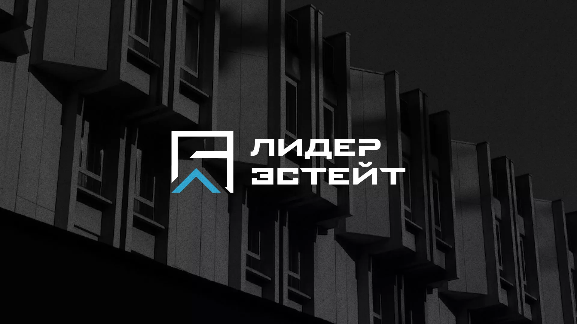 Разработка логотипа агентства недвижимости «Лидер Эстейт» в Можге